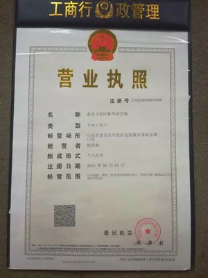 【山东泰安梨树基地 黄金梨 红梨 酥梨 哪有好梨树】价格_厂家_图片 -