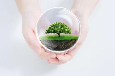 合格供应商综合实力评价认证证书-快速办理 认监委网站查询