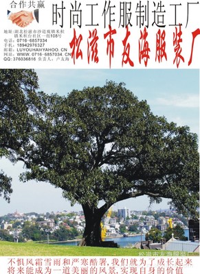 松滋市友海服装厂