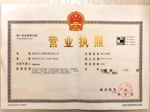 星空文耀 专业工商注册实体工作室，高价收购飞卢太监书及财务咨询