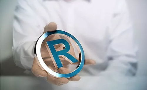 商标注册查询与工商注册 护航品牌，奠定商业基石
